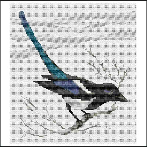 North American Birds
