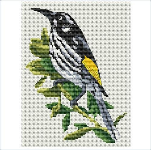 Australian Bearded Honeyeater cross stitch pattern 