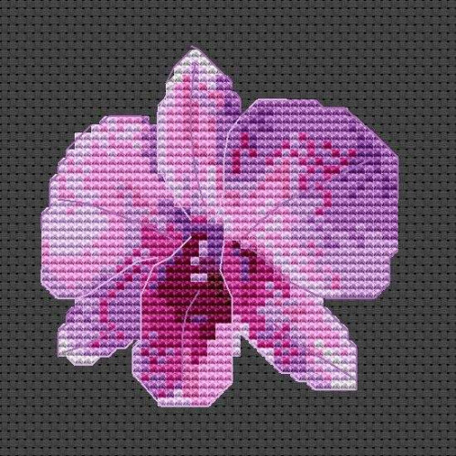 Cooktown Orchid cross stitch kit or chart by Mary Elizabeth 