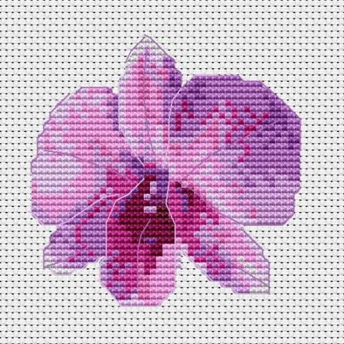 Cooktown Orchid cross stitch kit or chart by Mary Elizabeth 