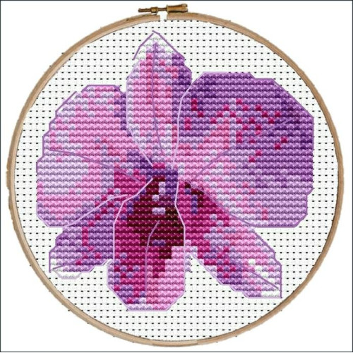 Cooktown Orchid cross stitch kit or chart by Mary Elizabeth 