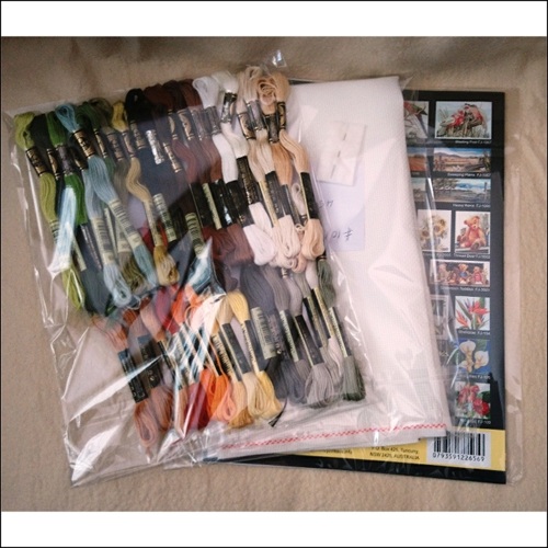 Arnott's Parrot cross stitch kit or chart by Fiona Jude 